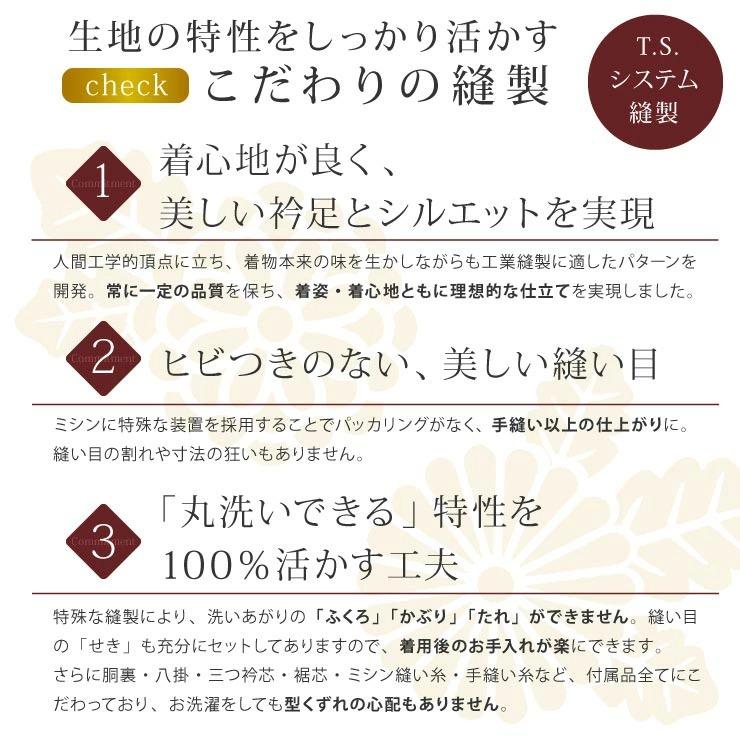 TORAY 夏 洗える着物 絽 江戸小紋 立涌 青磁色 M L 日本製 夏