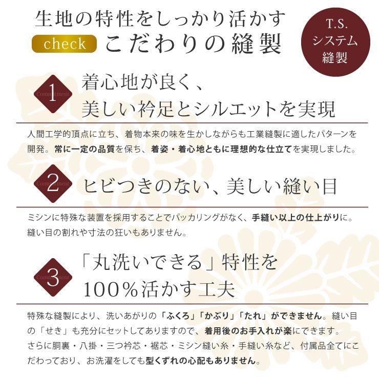 洗える着物 江戸小紋 袷 レディース 段違い市松 黒 M L サイズ 日本製
