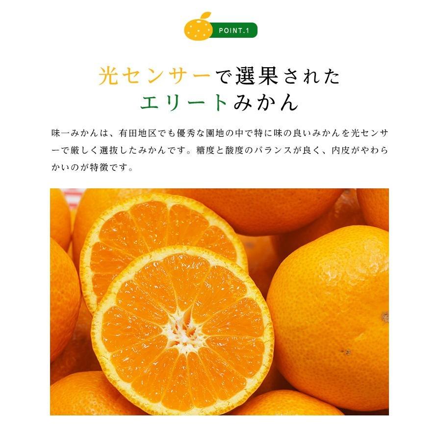 送料無料 和歌山県産 有田 味一みかん Sサイズ 約2.5kg 小玉 糖度 小粒 みかん 送料無料｜machika｜06