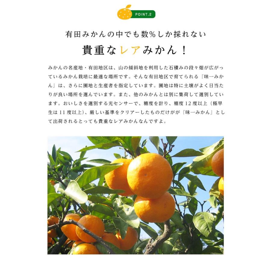 送料無料 和歌山県産 有田 味一みかん Sサイズ 約2.5kg 小玉 糖度 小粒 みかん 送料無料｜machika｜07