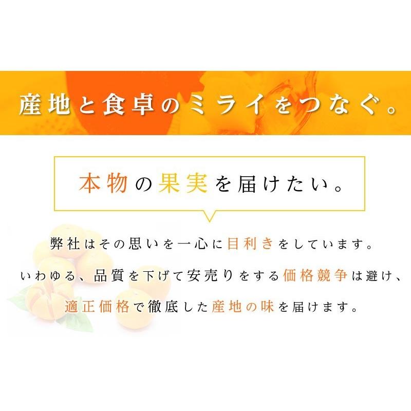 送料無料 和歌山県産 有田 味一みかん Mサイズ 約5kg  糖度 みかん 送料無料｜machika｜02