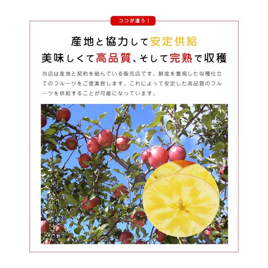 りんご こみつ 青森 6-13玉 約2kg 蜜入りりんご 蜜 蜜入りリンゴ りんご こみつ 青森 6-13玉 約2kg 蜜入りりんご 蜜 蜜入りリンゴ