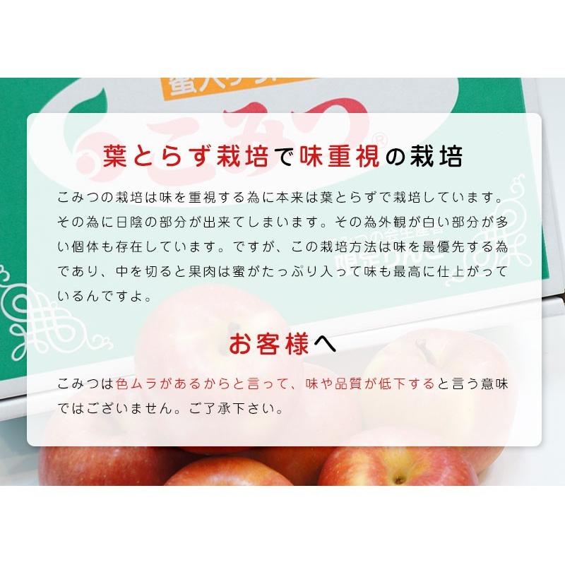 りんご こみつ(少し訳あり) 青森 6〜13玉 約2kg 蜜入りりんご 蜜 りんご こみつ(少し訳あり) 青森 6〜13玉 約2kg 蜜入りりんご 蜜