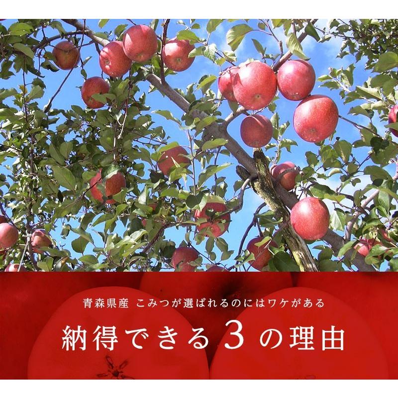 りんご こみつ(少し訳あり) 青森 6〜13玉 約2kg 蜜入りりんご 蜜 りんご こみつ(少し訳あり) 青森 6〜13玉 約2kg 蜜入りりんご 蜜