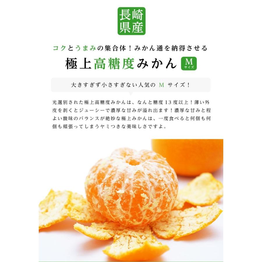 長崎県産 西海 味っ子みかん Mサイズ 約2.5kg 味っ子 西海 みかん 送料無料｜machika｜05