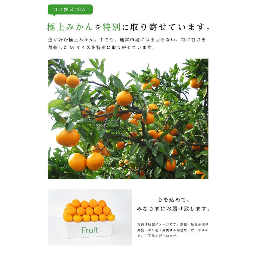 長崎県産 西海 味っ子みかん Mサイズ 約5kg 味っ子 みかん 送料無料