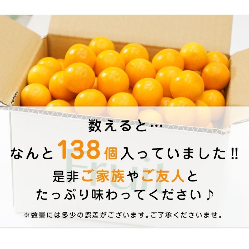 送料無料 宮崎県産 完熟きんかん たまたま 2Lサイズ 約3kg 宮崎 金柑