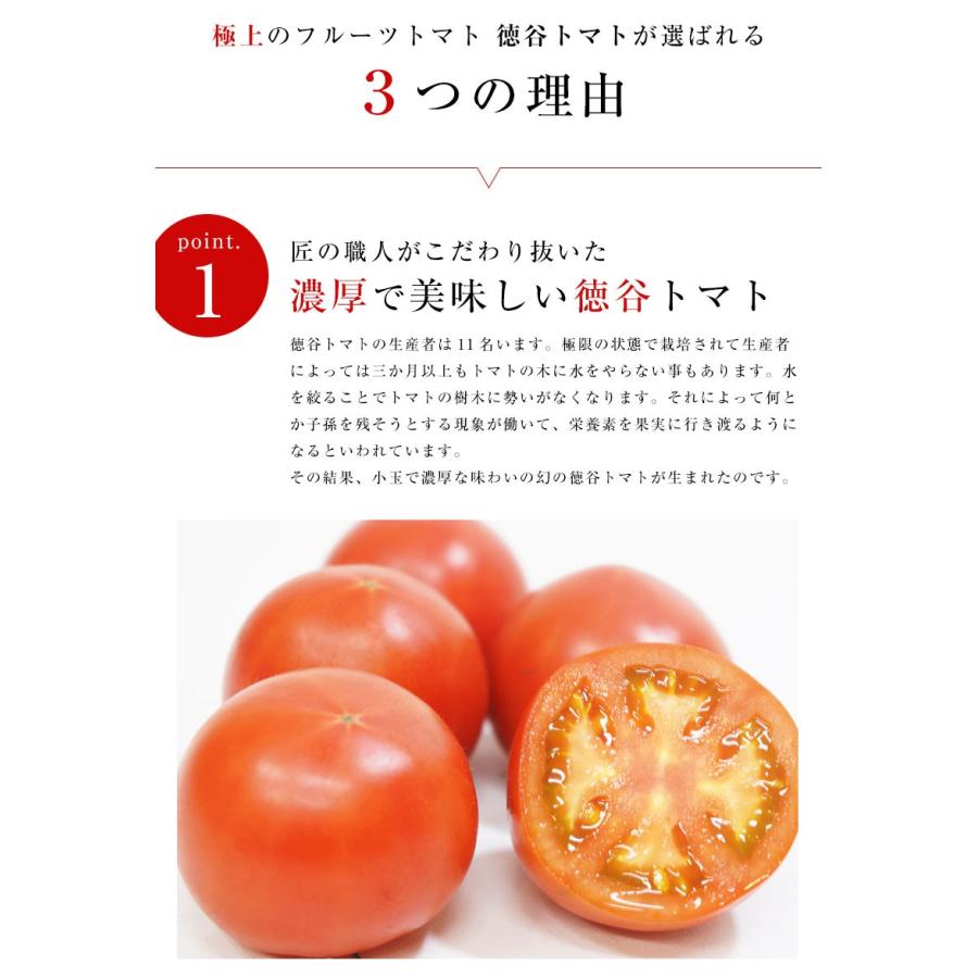 送料無料 高知県産 徳谷トマト約700g フルーツフルーツトマト