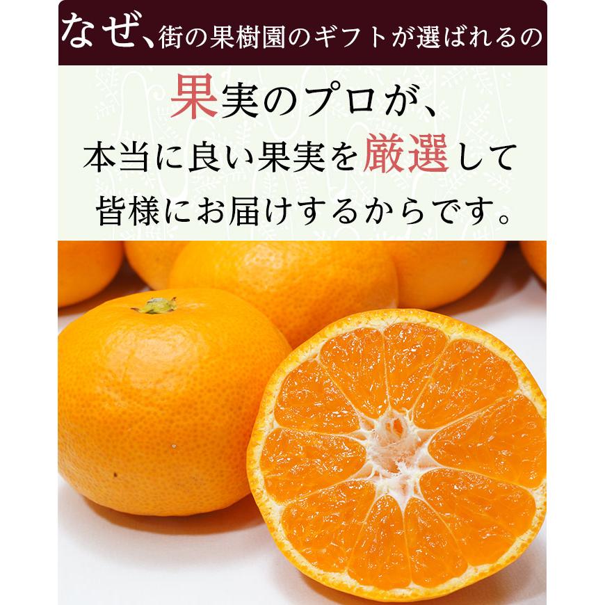 送料無料 青森県産 サンふじ 和歌山県産 有田みかん フルーツギフト 蜜入りサンふじ 有田みかん 和歌山 フルーツ 盛り合わせ サンふじ 青森 お歳暮｜machika｜09