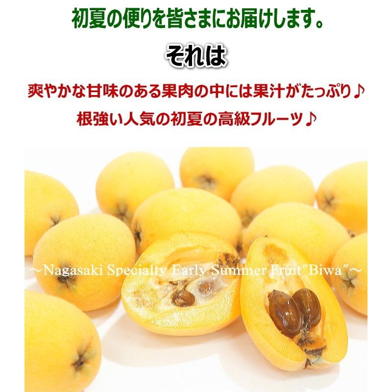 送料無料 長崎県産 びわ 化粧箱 9 12玉 びわ 果物 送料無料 長崎 お土産 枇杷ギフト 贈答 プレゼント 内祝い 街の果樹園 通販 Yahoo ショッピング