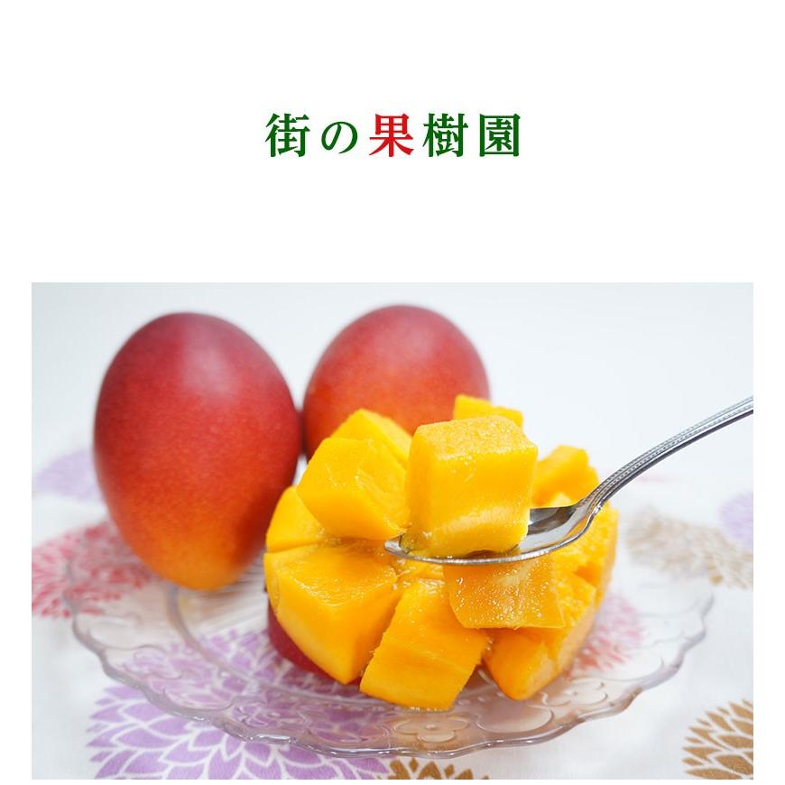 摘果マンゴー② Amazon.co.jp: マンゴー ギフト 鑑定書付き 赤秀 完熟 宮崎県