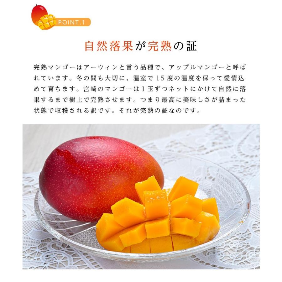 宮崎県産 太陽のタマゴ（完熟マンゴー）2Lサイズ 2玉 約700〜900ｇ｜machika｜06