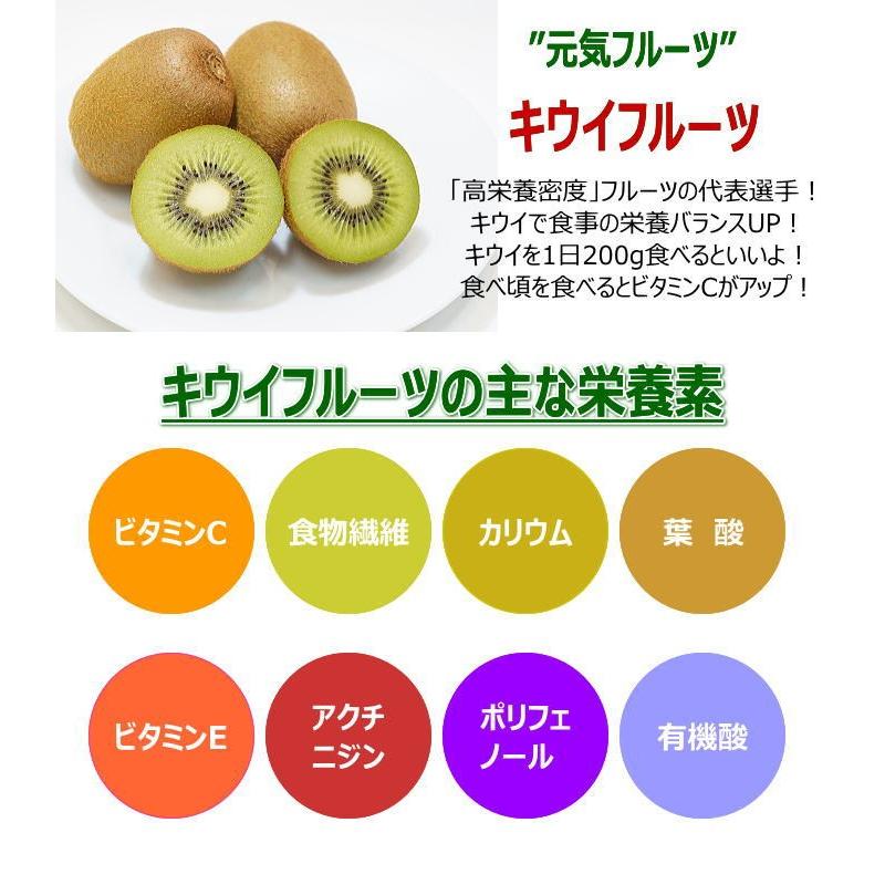 ニュージーランド産サン ゴールドキウイ10 15玉 約1 5kgキウイフルーツ 贈答用ギフト 贈答 プレゼント内祝い出産祝い フルーツギフト 街の果樹園 通販 Yahoo ショッピング