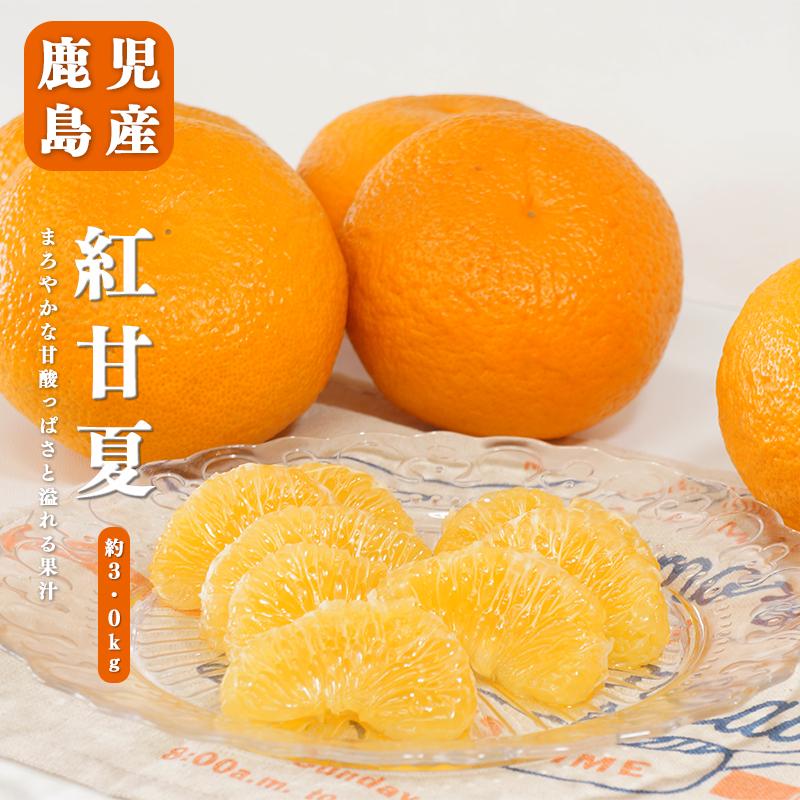 送料無料 鹿児島県産 紅甘夏 7-10玉 約3kg 甘夏みかん 甘夏 贈答用