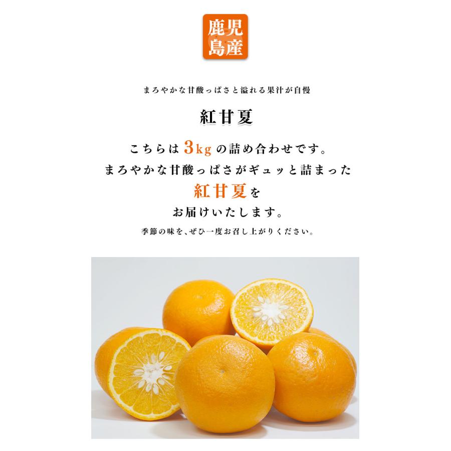 送料無料 鹿児島県産 紅甘夏 7-10玉 約3kg 甘夏みかん 甘夏 贈答用