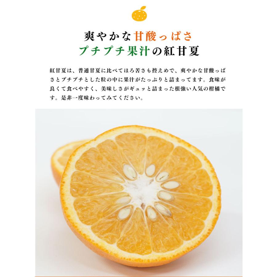 送料無料 鹿児島県産 紅甘夏 7-10玉 約3kg 甘夏みかん 甘夏 贈答用