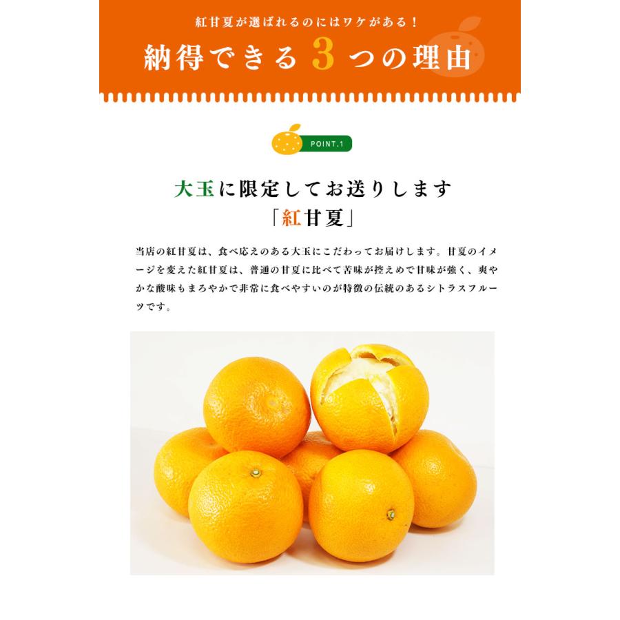 送料無料 鹿児島県産 紅甘夏 7-10玉 約3kg 甘夏みかん 甘夏 贈答用