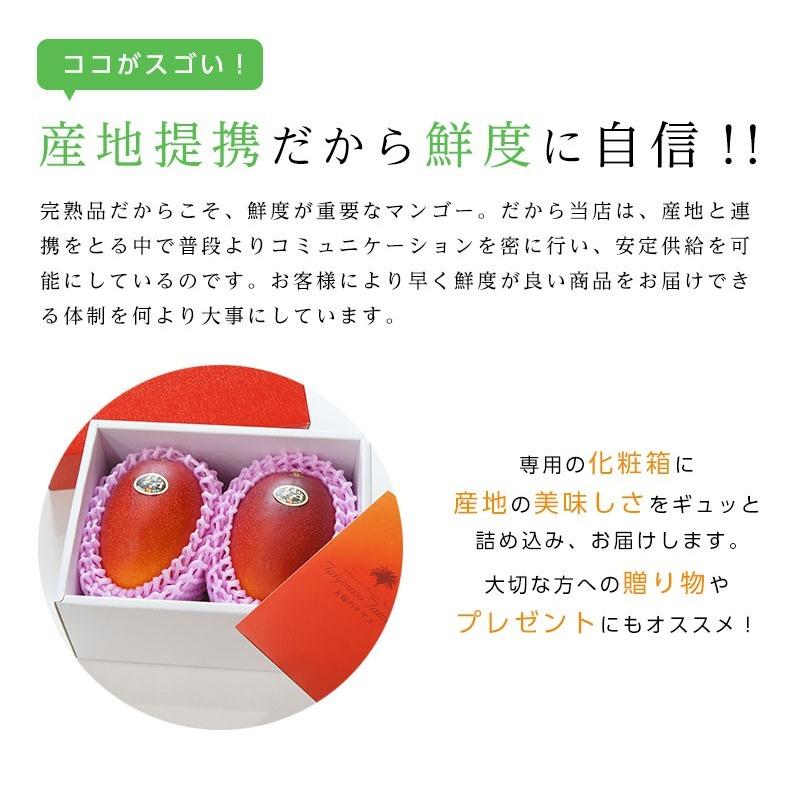 宮崎県産 太陽のタマゴ（完熟マンゴー）3Lサイズ 2玉 約900g〜1kg : 街