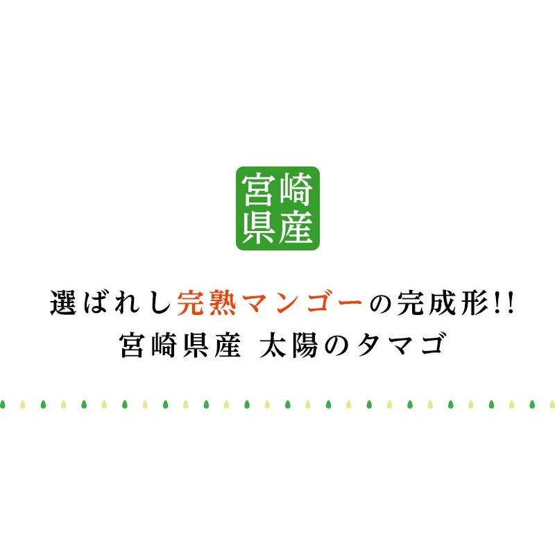 宮崎県産 太陽のタマゴ（完熟マンゴー）3Lサイズ 2玉 約900g〜1kg｜machika｜04