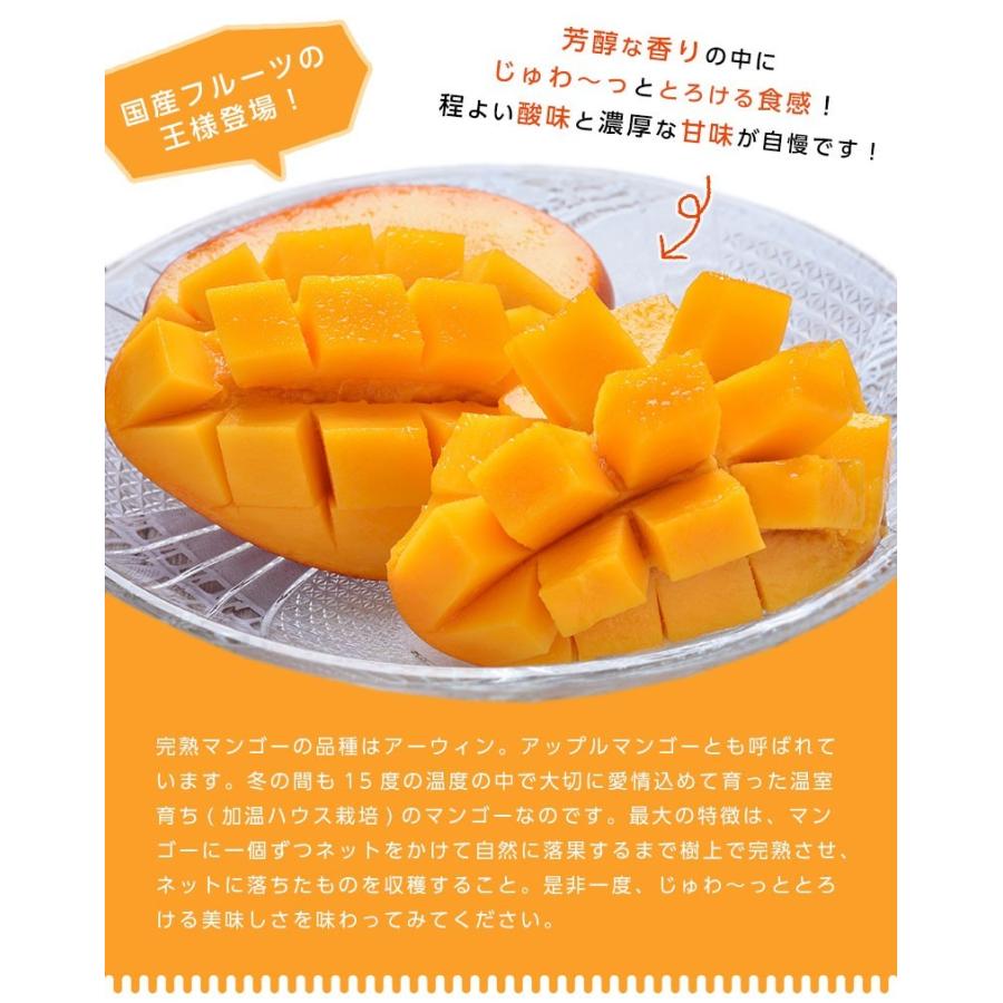 宮崎県産 太陽のタマゴ（完熟マンゴー）3Lサイズ 2玉 約900g〜1kg : 街