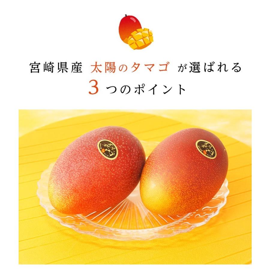 宮崎県産 太陽のタマゴ（完熟マンゴー）3Lサイズ 2玉 約900g〜1kg : 街