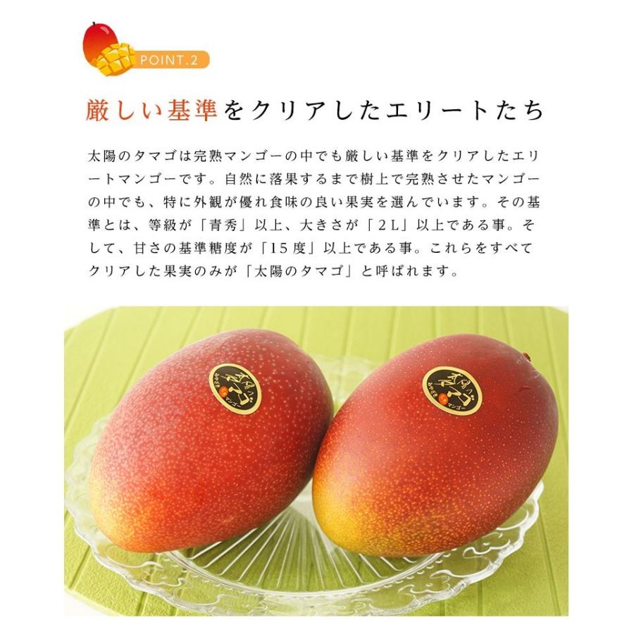 宮崎県産 太陽のタマゴ（完熟マンゴー）3Lサイズ 2玉 約900g〜1kg : 街