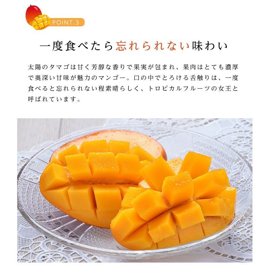 宮崎県産 太陽のタマゴ（完熟マンゴー）3Lサイズ 2玉 約900g〜1kg : 街