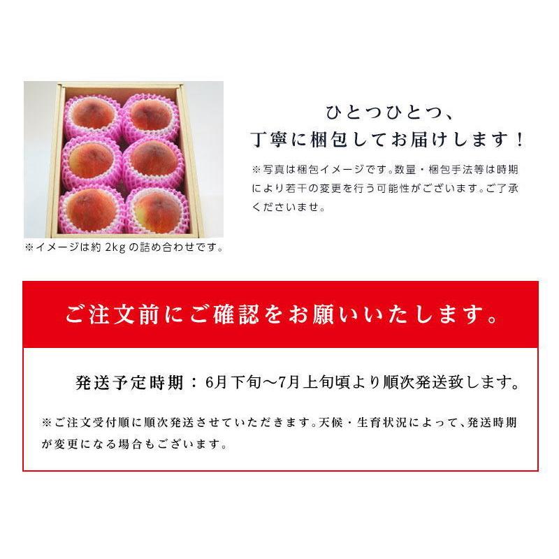 糖度12度以上選果 山梨県産 樹成りもも 6-8玉 約1.8kg 【沖縄・離島発送不可】もも 糖度  桃 山梨 ギフト 贈答｜machika｜13