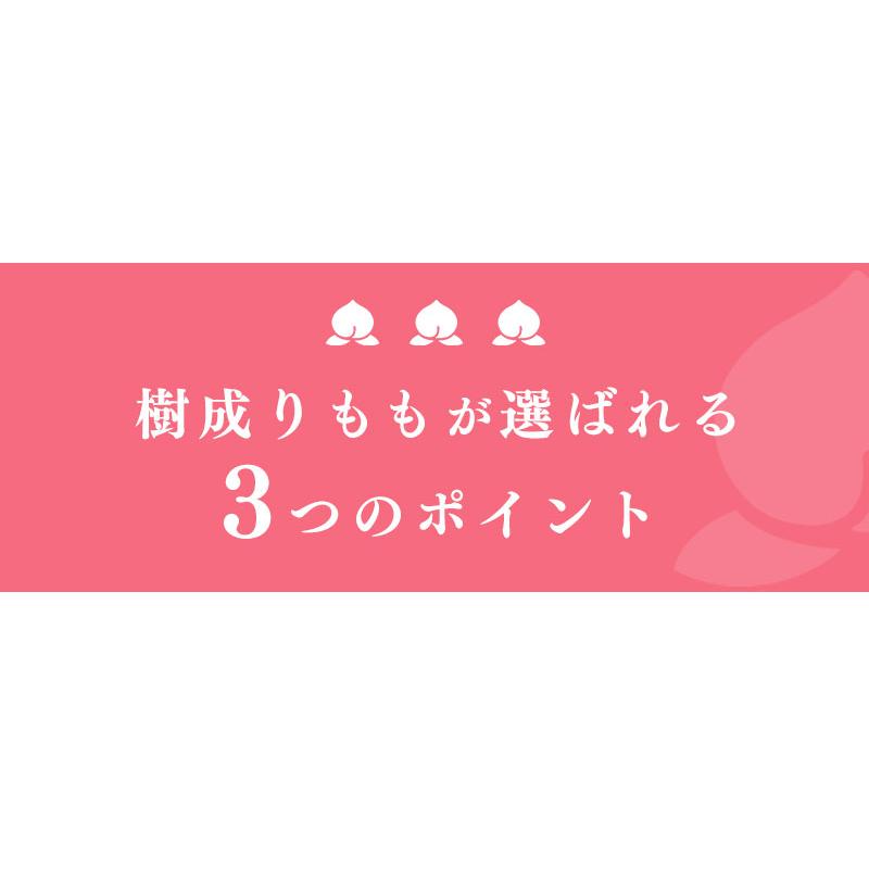 糖度12度以上選果 山梨県産 樹成りもも 6-8玉 約1.8kg 【沖縄・離島発送不可】もも 糖度  桃 山梨 ギフト 贈答｜machika｜07