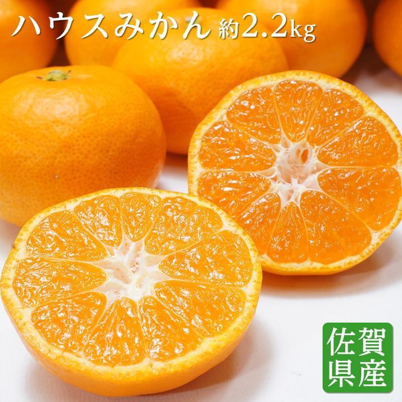 送料無料 佐賀県産 唐津 ハウスみかん S-Mサイズ 約2.2kg みかん 糖度