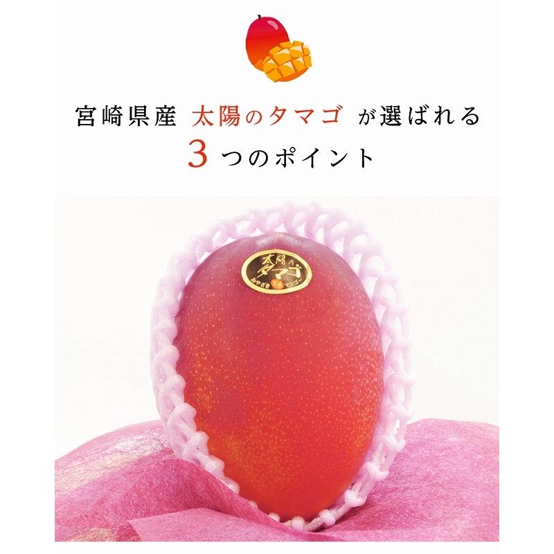 宮崎県産 太陽のタマゴ（完熟マンゴー）2Lサイズ 1玉 約350-459g : 街