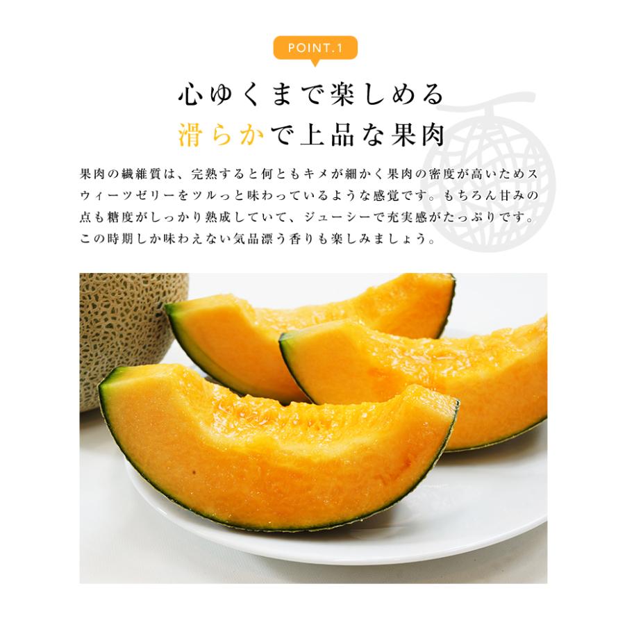 北海道産 赤肉メロン 2玉 2.6kg フルーツ ギフト 送料無料 果物 詰合せ 誕生日 贈答 プレゼント : 街の果樹園 - 通販 ...