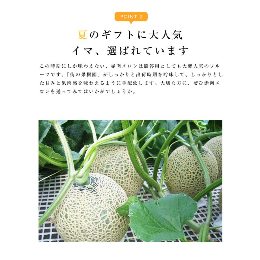北海道産 赤肉メロン 2玉 2.6kg フルーツ ギフト 送料無料 果物 詰合せ 誕生日 贈答 プレゼント : 街の果樹園 - 通販 ...