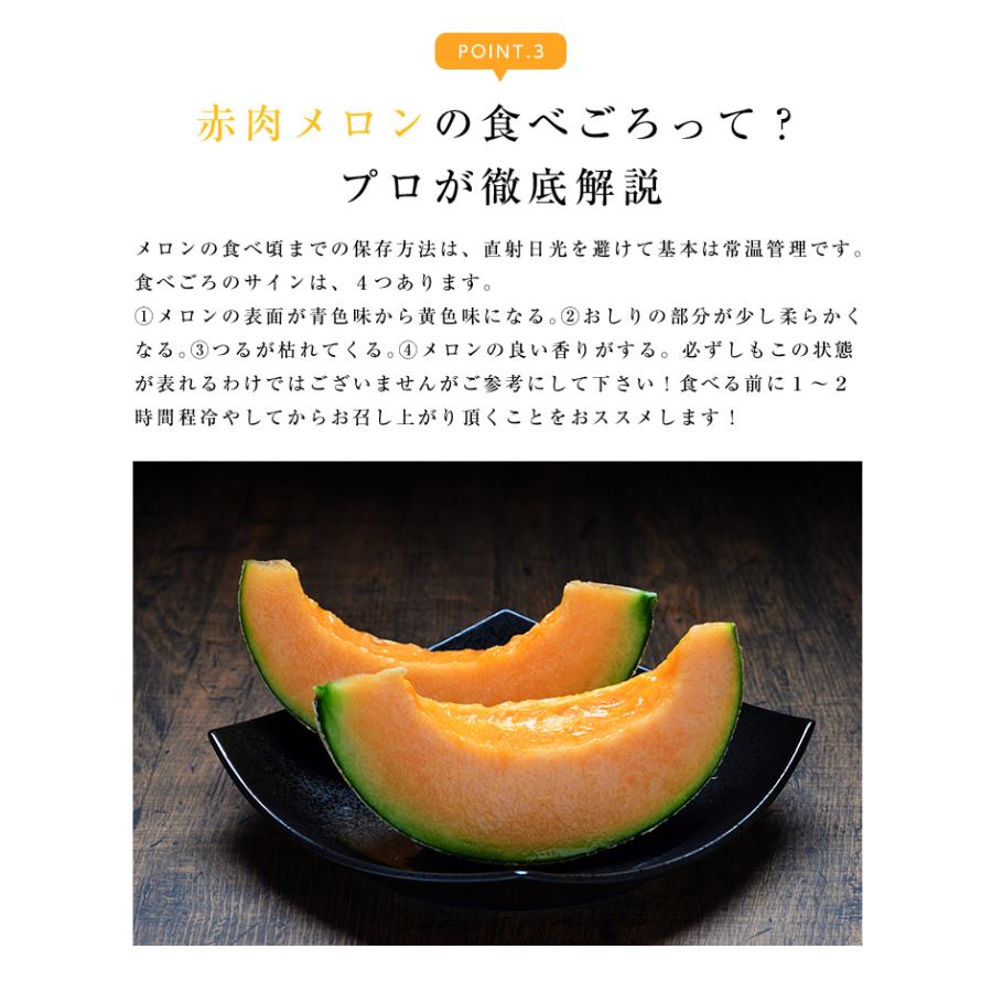 北海道産 赤肉メロン 2玉 2.6kg フルーツ ギフト 送料無料 果物 詰合せ 誕生日 贈答 プレゼント : 街の果樹園 - 通販 ...
