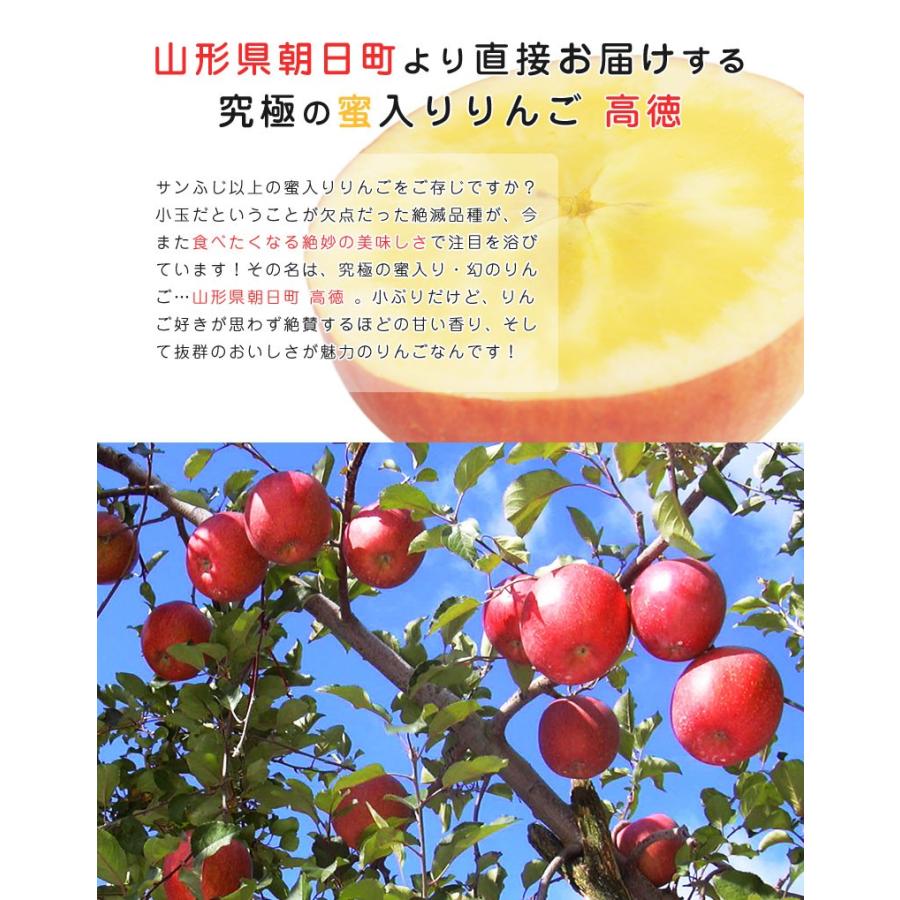 りんご 高徳りんご 山形 朝日町 9‐12玉入 約2.0kg 蜜入りりんご こう