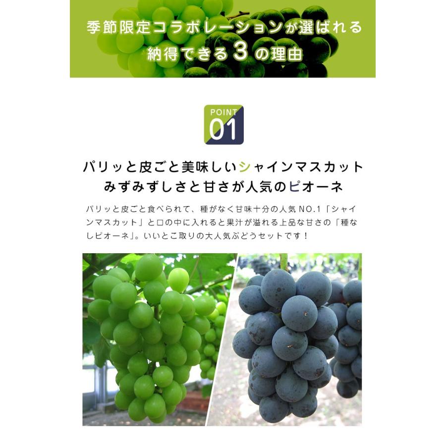 食べ比べセット 山梨 岡山県産 シャインマスカット 種なしピオーネ 2房