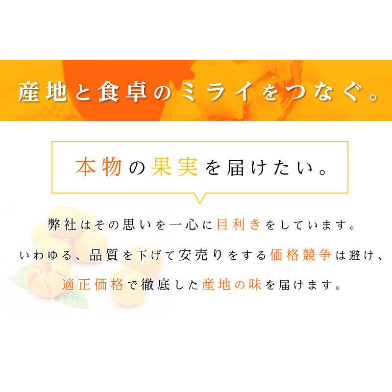 送料無料 和歌山県産下津 硲 みかん S-Mサイズ 約5kg 和歌山 みかん 5kg お歳暮 フルーツ ギフト｜machika｜02