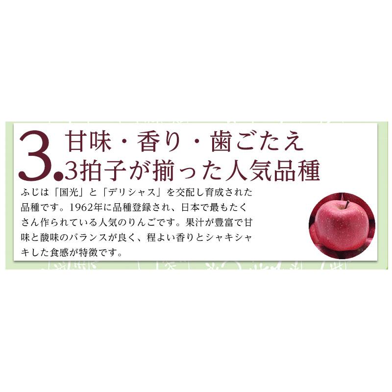 送料無料 青森産 サンふじ 山形県産 ラ・フランス 各5-6玉　約3kg フルーツギフト 蜜入りサンふじ ラ・フランス 山形 フルーツ 盛り合わせ サンふじ 青森 お歳暮｜machika｜12