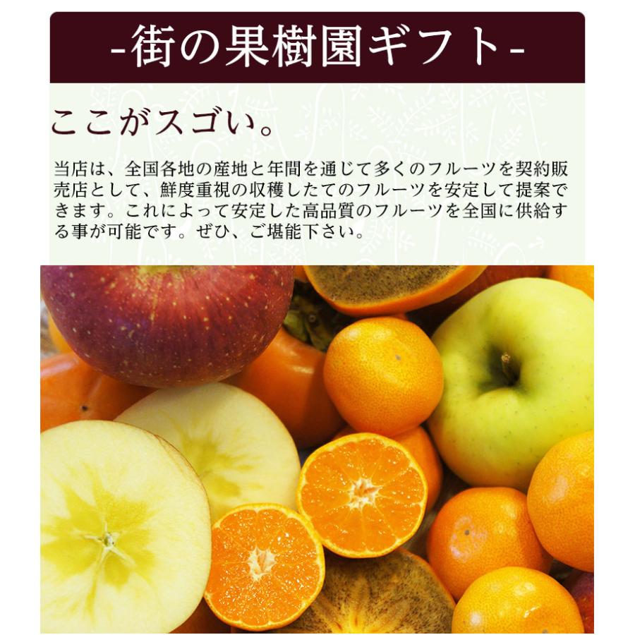 送料無料 青森産 サンふじ 山形県産 ラ・フランス 各5-6玉　約3kg フルーツギフト 蜜入りサンふじ ラ・フランス 山形 フルーツ 盛り合わせ サンふじ 青森 お歳暮｜machika｜13