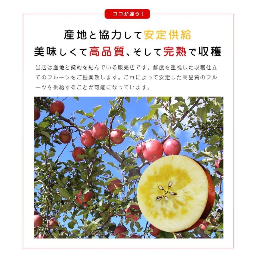 送料無料 青森県産蜜入りサンふじ9-11玉 約3kg りんご 3kg 蜜 送料無料 青森県産蜜入りサンふじ9-11玉 約3kg りんご 3kg 蜜