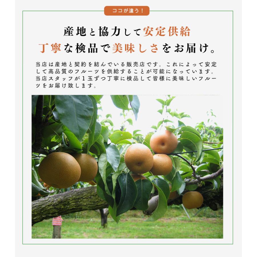 高糖度 赤梨 3-6玉 約2.5kg  新潟 梨 幸水 梨 豊水 梨 あきづき 梨 新高 梨 新興