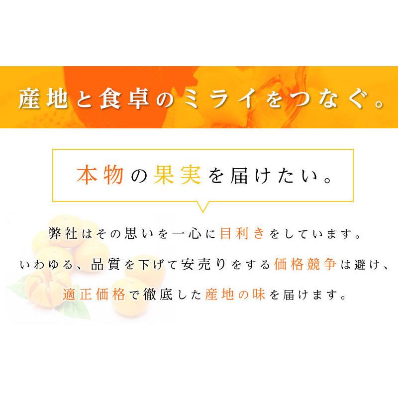 高糖度 赤梨 3-6玉 約2.5kg  新潟 梨 幸水 梨 豊水 梨 あきづき 梨 新高 梨 新興