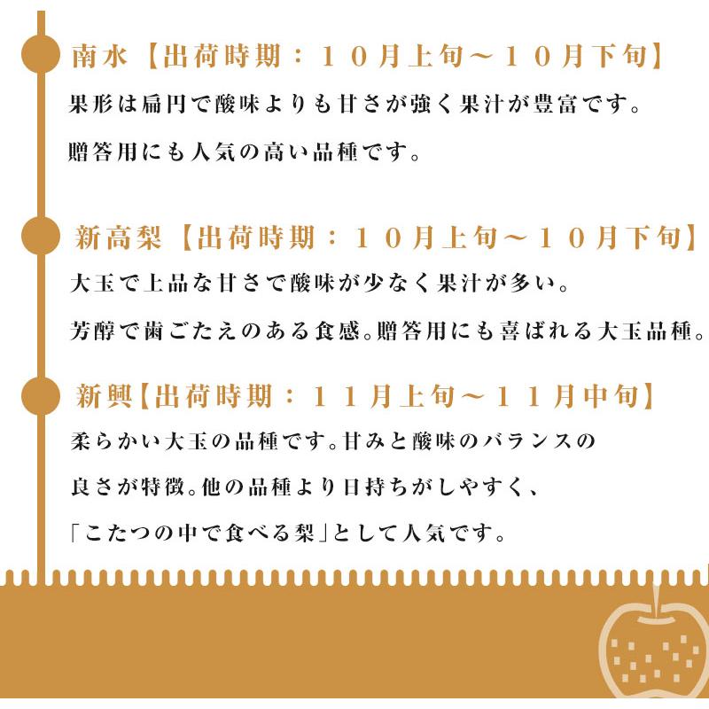 高糖度 赤梨 3-6玉 約2.5kg  新潟 梨 幸水 梨 豊水 梨 あきづき 梨 新高 梨 新興