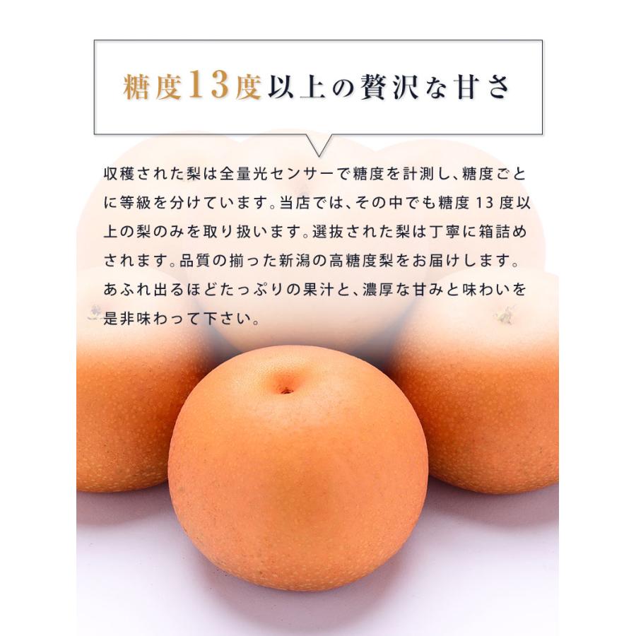高糖度 赤梨 3-6玉 約2.5kg  新潟 梨 幸水 梨 豊水 梨 あきづき 梨 新高 梨 新興