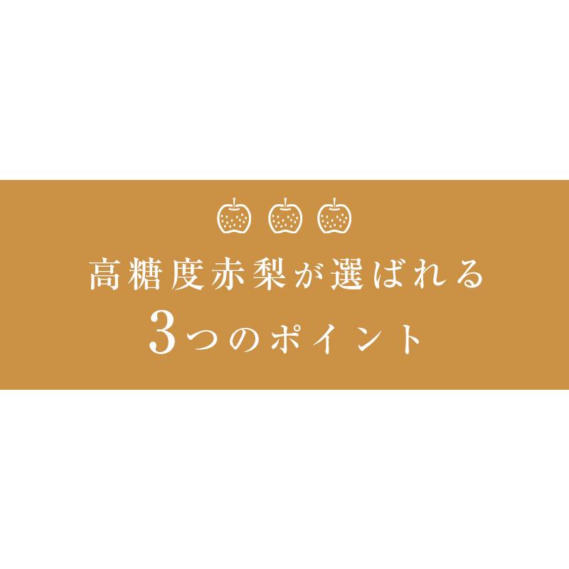 高糖度 赤梨 3-6玉 約2.5kg  新潟 梨 幸水 梨 豊水 梨 あきづき 梨 新高 梨 新興