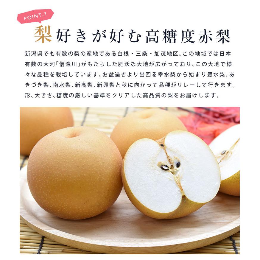 高糖度 赤梨 3-6玉 約2.5kg  新潟 梨 幸水 梨 豊水 梨 あきづき 梨 新高 梨 新興
