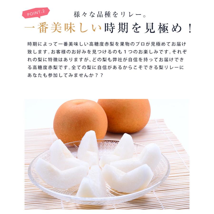 高糖度 赤梨 3-6玉 約2.5kg  新潟 梨 幸水 梨 豊水 梨 あきづき 梨 新高 梨 新興