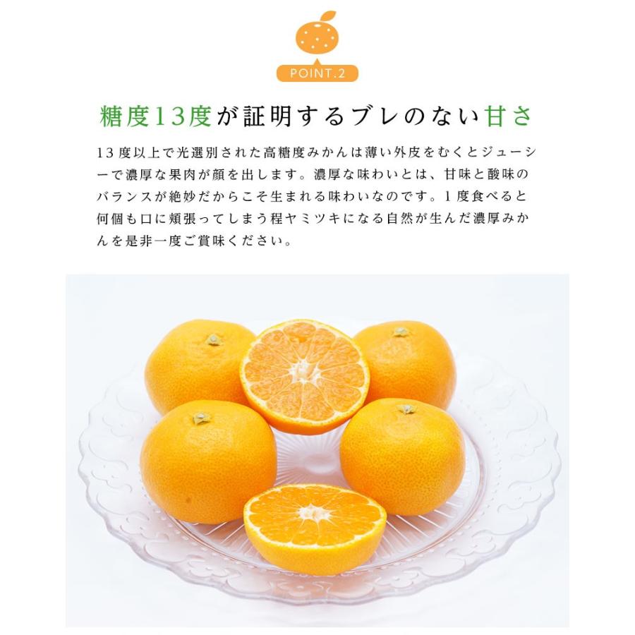 みかん 味っ子みかん 長崎 西海 2S 約10kg 高糖度 小粒 小玉 ミカン 味