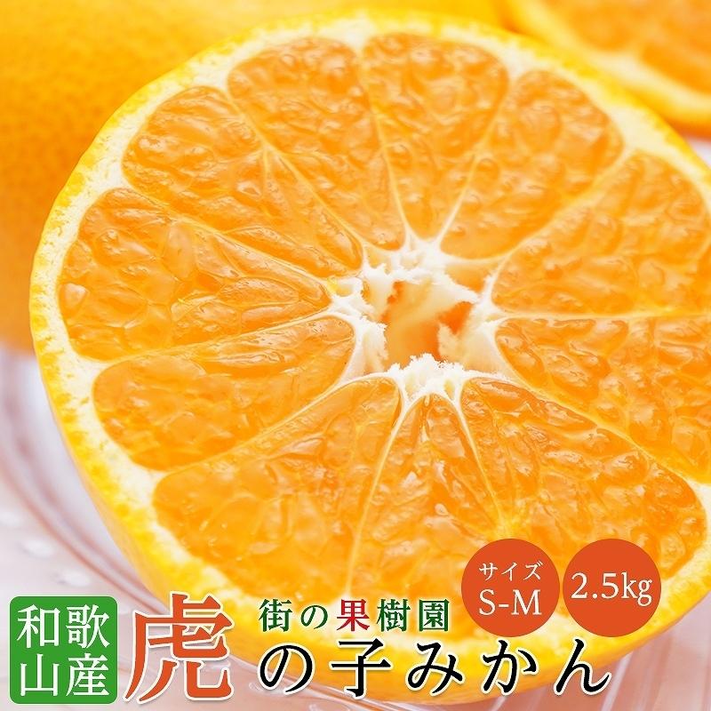 みかん 虎の子みかん 和歌山 S-Mサイズ 約2.5kg 高糖度 ミカン ギフト