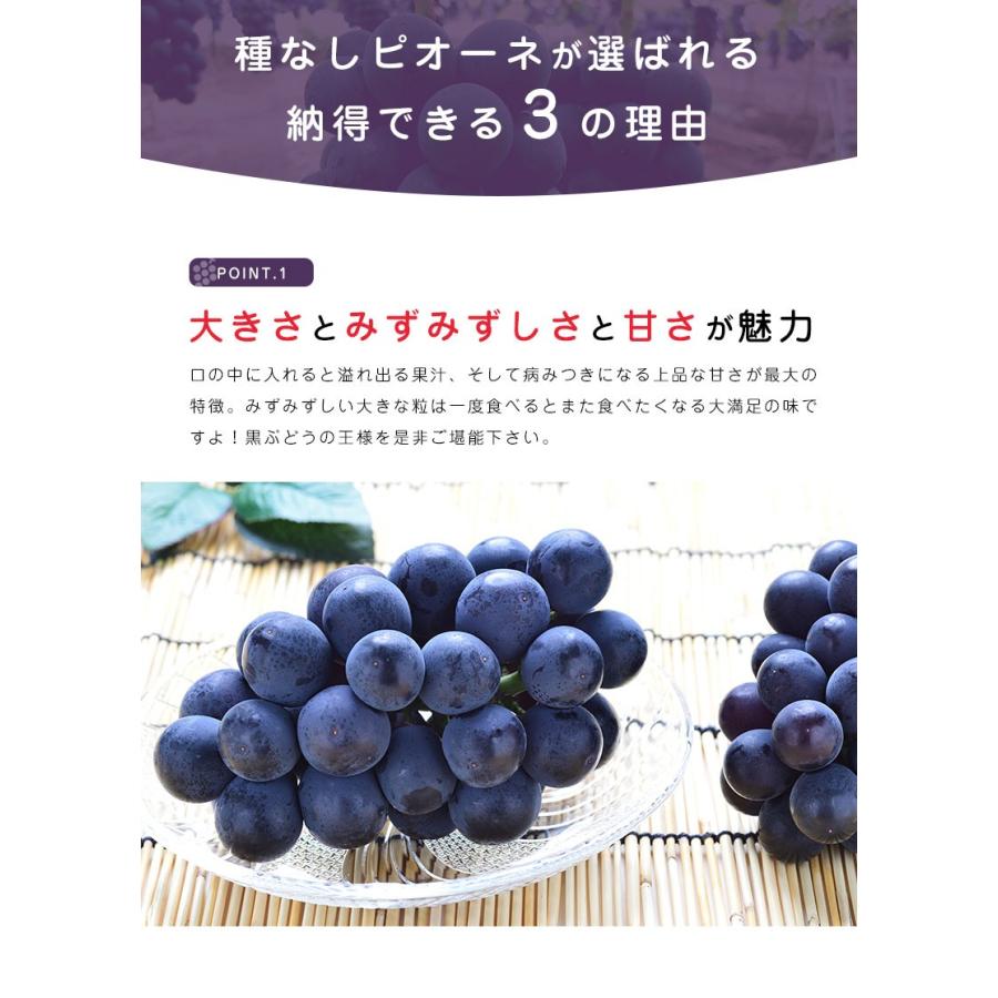送料無料 岡山 山梨県産 種なしピオーネ 1房 約500g ぶどう 種無し 黒